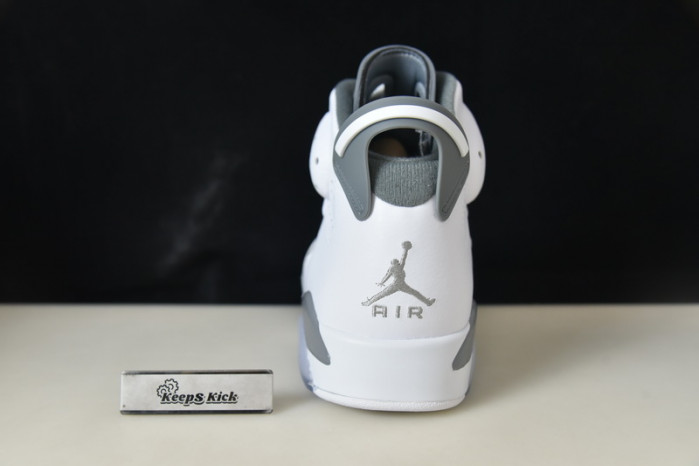 air jordan 6 "cool grey" ct8529-100