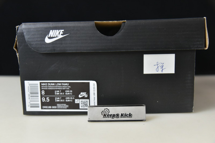 Florida A&M x Nike Dunk Low DR6188-800